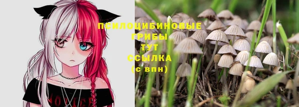 Альфа ПВП Абинск