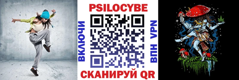 хочу наркоту  Шимановск  Галлюциногенные грибы Cubensis 